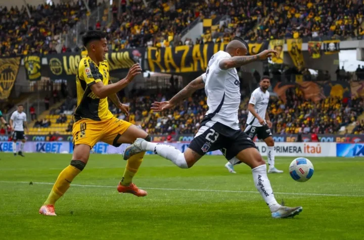 Vidal